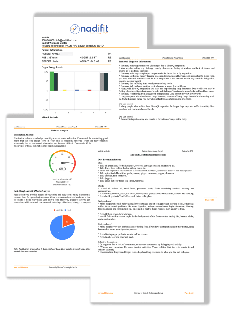 Sample Nadifit health analysis report showing AI-based Nadi Pariksha results, dosha balance charts, organ insights, and personalized lifestyle recommendations