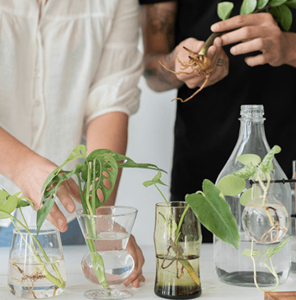 Ayurveda institutions and colleges using Nadifit AI Nadi Pariksha wellness platform