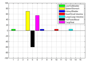 Bar graph showing organ and energy balance levels: high Spleen/Stomach and Yang (Heat), low Yin/Fluids/Blood, with mild variations in Liver/Gallbladder, Kidney/Bladder, Heart/Small Intestine, and Lungs/Large Intestine. 