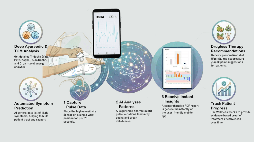 Infographic showing how Nadifit works, illustrating pulse data capture, AI-based analysis, Ayurvedic dosha assessment, instant health insights, drugless therapy recommendations, and patient progress tracking